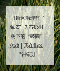 街区治理有“魔法”？看梧桐树下的“破圈”实践｜我在街区当书记
