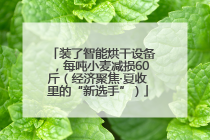 装了智能烘干设备，每吨小麦减损60斤（经济聚焦·夏收里的“新选手”）