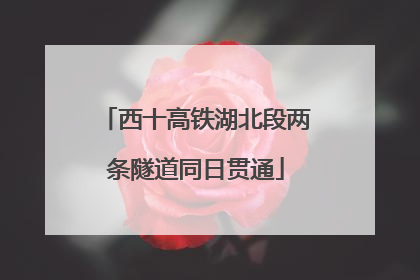 西十高铁湖北段两条隧道同日贯通