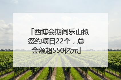 西博会期间乐山拟签约项目22个，总金额超550亿元