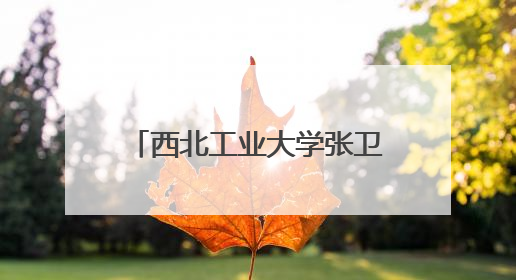 西北工业大学张卫红院士荣获J.N.Reddy奖章