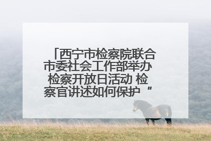 西宁市检察院联合市委社会工作部举办检察开放日活动 检察官讲述如何保护“少年的你”