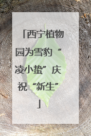 西宁植物园为雪豹“凌小蛰”庆祝“新生”