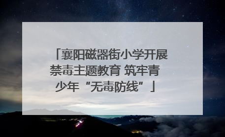 襄阳磁器街小学开展禁毒主题教育 筑牢青少年“无毒防线”