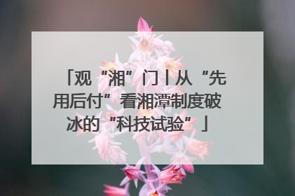 观“湘”门丨从“先用后付”看湘潭制度破冰的“科技试验”
