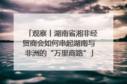 观察丨湖南省湘非经贸商会如何串起湖南与非洲的“万里商路”