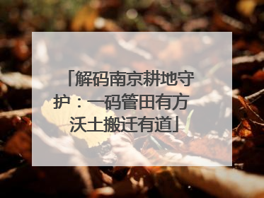 解码南京耕地守护：一码管田有方 沃土搬迁有道