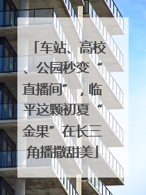 车站、高校、公园秒变“直播间”，临平这颗初夏“金果”在长三角播撒甜美