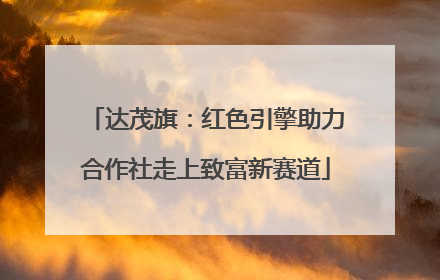 达茂旗：红色引擎助力合作社走上致富新赛道