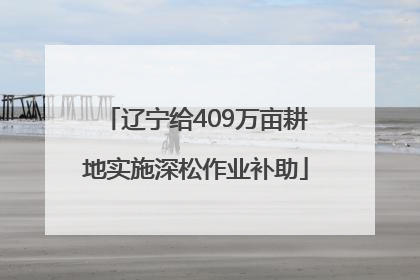 辽宁给409万亩耕地实施深松作业补助