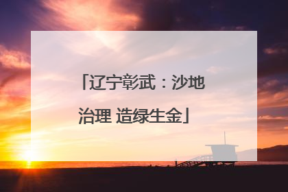 辽宁彰武：沙地治理 造绿生金