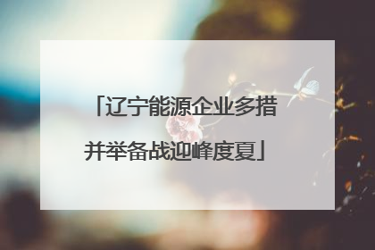 辽宁能源企业多措并举备战迎峰度夏