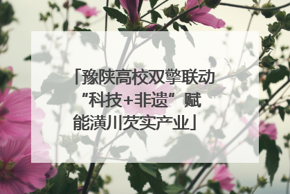豫陕高校双擎联动 “科技+非遗”赋能潢川芡实产业