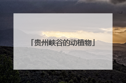 贵州峡谷的动植物