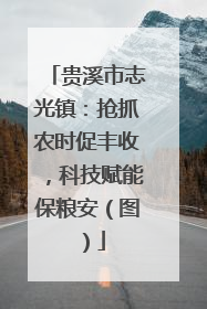 贵溪市志光镇：抢抓农时促丰收，科技赋能保粮安（图）