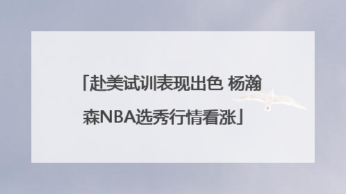 赴美试训表现出色 杨瀚森NBA选秀行情看涨