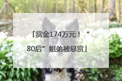 赏金174万元！“80后”姐弟被悬赏