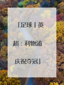足球丨英超：利物浦庆祝夺冠