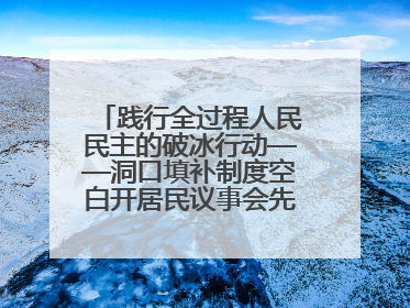 践行全过程人民民主的破冰行动——洞口填补制度空白开居民议事会先河侧记