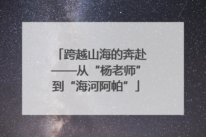 跨越山海的奔赴——从“杨老师”到“海河阿帕”