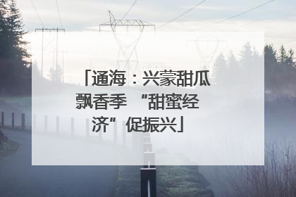 通海：兴蒙甜瓜飘香季 “甜蜜经济”促振兴