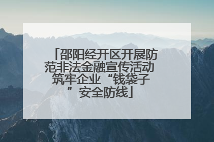邵阳经开区开展防范非法金融宣传活动 筑牢企业“钱袋子”安全防线