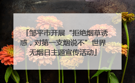 邹平市开展“拒绝烟草诱惑，对第一支烟说不”世界无烟日主题宣传活动