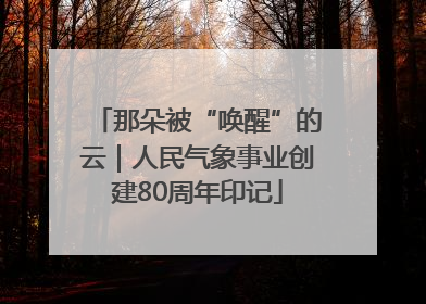 那朵被“唤醒”的云｜人民气象事业创建80周年印记