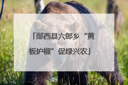 郧西县六郎乡“黄板护椒”促绿兴农