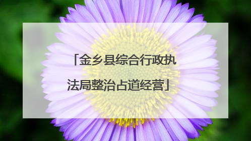 金乡县综合行政执法局整治占道经营