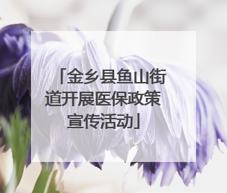 金乡县鱼山街道开展医保政策宣传活动