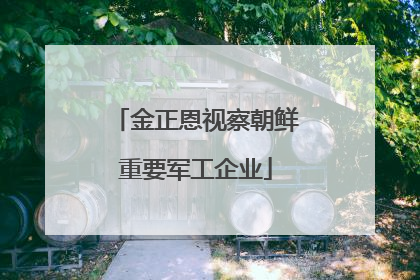 金正恩视察朝鲜重要军工企业