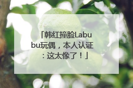 韩红撞脸Labubu玩偶，本人认证：这太像了！