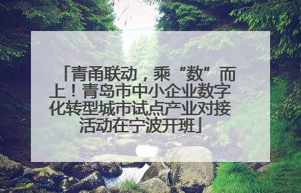青甬联动，乘“数”而上！青岛市中小企业数字化转型城市试点产业对接活动在宁波开班