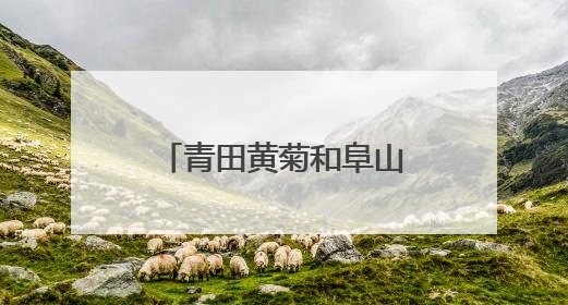 青田黄菊和阜山笋干组团出海