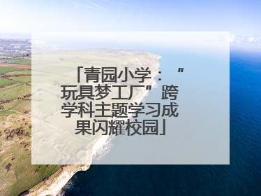 青园小学：“玩具梦工厂”跨学科主题学习成果闪耀校园