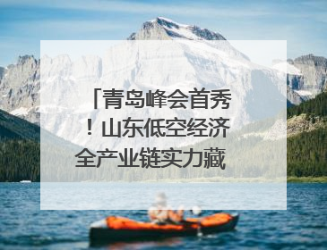 青岛峰会首秀！山东低空经济全产业链实力藏不住了