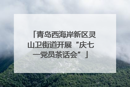 青岛西海岸新区灵山卫街道开展“庆七一党员茶话会”