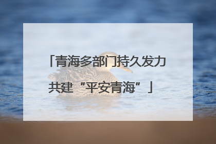 青海多部门持久发力共建“平安青海”