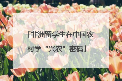 非洲留学生在中国农村学“兴农”密码