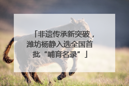 非遗传承新突破，潍坊杨静入选全国首批“哺育名录”