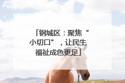 钢城区：聚焦“小切口”，让民生福祉成色更足
