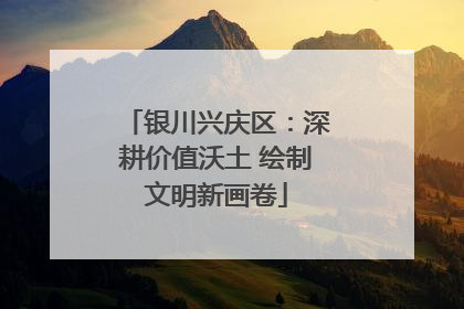 银川兴庆区：深耕价值沃土 绘制文明新画卷