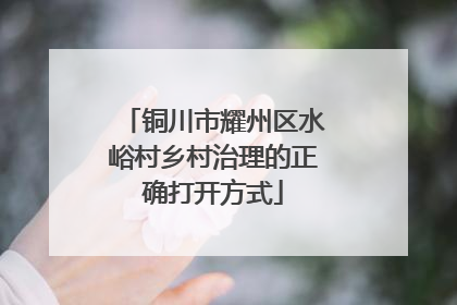 铜川市耀州区水峪村乡村治理的正确打开方式