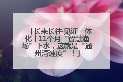长来长往·见证一体化丨11个月“智慧渔场”下水，这就是“通州湾速度”！