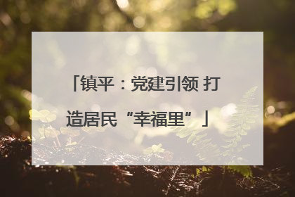 镇平：党建引领 打造居民“幸福里”