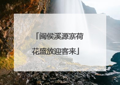 闽侯溪源寨荷花盛放迎客来