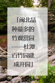 闽北品种最多的竹观赏园——杜潭百竹园建成开园