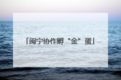 闽宁协作孵“金”蛋