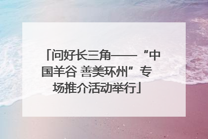 问好长三角——“中国羊谷 善美环州”专场推介活动举行